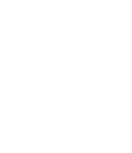 Leaders Cup